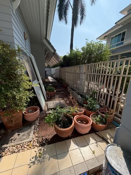 Detached House for Rent in Sukhumvit 101/1 (SPSJP179), Bangkok, วชิรธรรม 57, Bang Chak, Phra Khanong, Bangkok, 3 Bedrooms, 284 sqm, Single Detached House For Rent, by Khun Jane, 500177260 - DDproperty.com