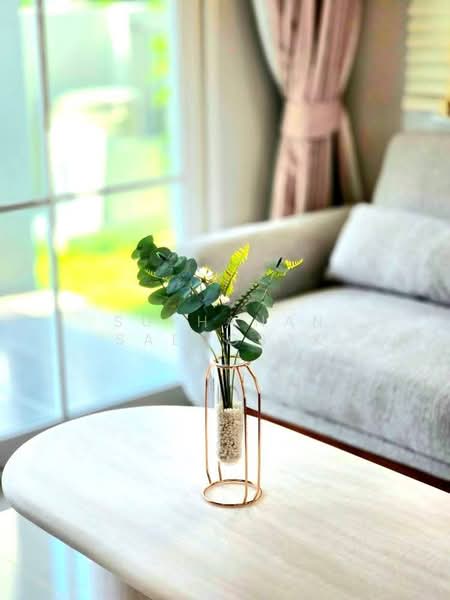 Anasiri Paklok, Phuket, Tha Ruea-Muang Mai Road, Pa Khlok, Thalang, Phuket, 4 Bedrooms, 148 sqm, Single Detached House For Rent, by Suphanan Saengsak, 500177261 - DDproperty.com