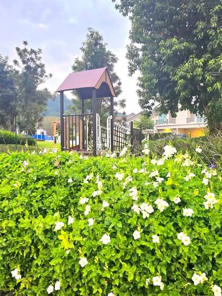 Anasiri Paklok : อณาสิริ ป่าคลอก, ภูเก็ต, Tha Ruea-Muang Mai Road, ป่าคลอก, ถลาง, ภูเก็ต, 148 ตร.ม., บ้านเดี่ยว ให้เช่า, โดย Suphanan Saengsak, 500177261 - DDproperty.com