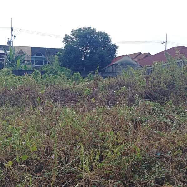 ที่ดินท่าช้าง จันทบุรี, Chanthaburi, Tha Chang, Muang Chanthaburi, Chanthaburi, , 1,116 sqm, Land For Sale, by The Best Property  อ้วน, 500177270 - DDproperty.com