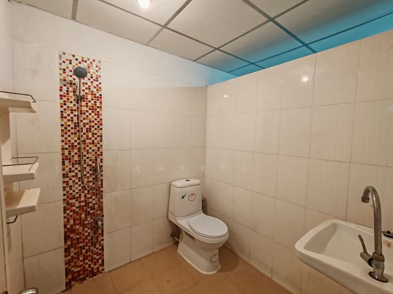 For Sale - ของต้องรีบคว้า รีโนเวททั้งหลัง ทำเลงามวงศ์วาน 18 !!! ขาย ทาวน์เฮ้าส์ 3 ชั้น 5 ห้องนอน 19 ตร.ว., Nonthaburi