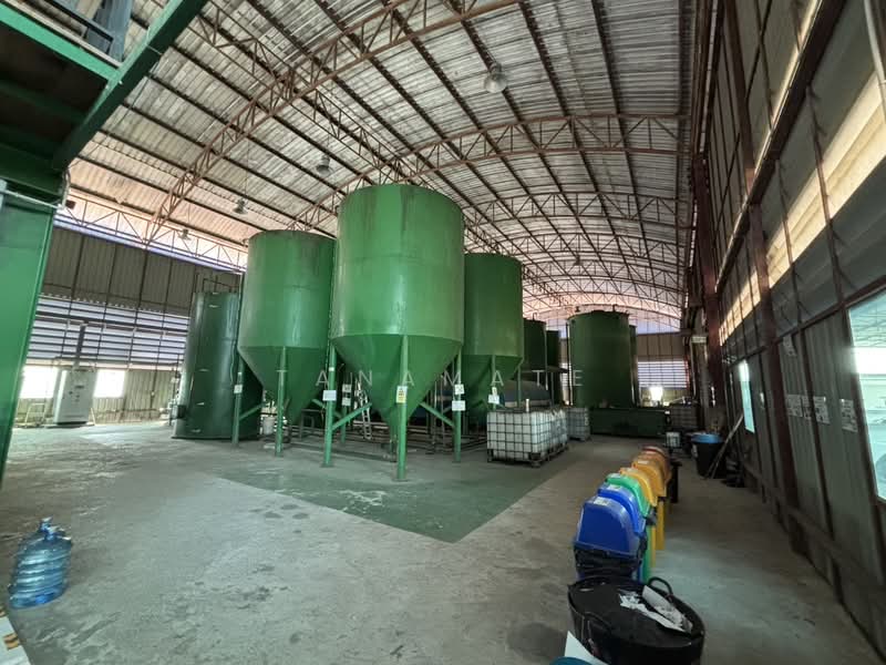 Factory and office for sale on 5 rai of land in Khlong Luang, Pathum Thani., Pathum Thani, เลียบคลองสาม, Khlong Sam, Khlong Luang, Pathum Thani, , 1,500 sqm, Warehouse/Factory For Sale, by Tanamate, 500177287 - DDproperty.com