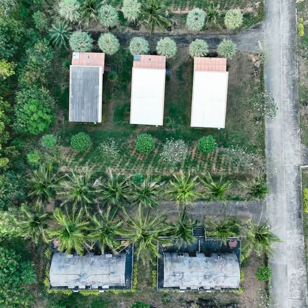 ขายกิจการรีสอร์ทและร้านอาหาร เนื้อที่ 42 ไร่ 32 ตารางวา ต.ห้วยทราย อ.เมือง จ.ประจวบคีรีขันธ์, Prachuap Khiri Khan, Huai Sai, Muang Prachaubkirikhan, Prachuap Khiri Khan, , 16,832 sqm, Business For Sale, by สรภพ ยอดไชย (สีฝุ่น), 500177300 - DDproperty.com