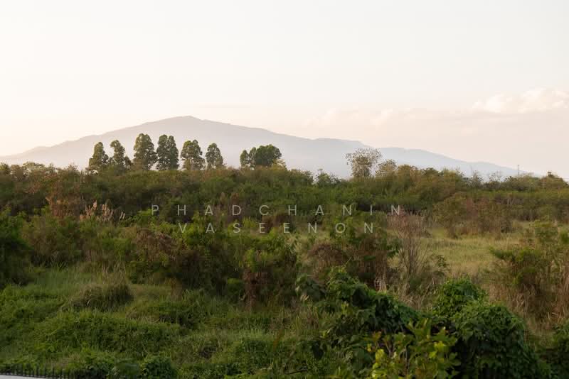 กาญจน์กนกวิลล์ 18, เชียงใหม่, สันผักหวาน, หางดง, เชียงใหม่, 196 ตร.ม., บ้านเดี่ยว ให้เช่า, โดย Phadchanin Vaseenon, 500177330 - DDproperty.com