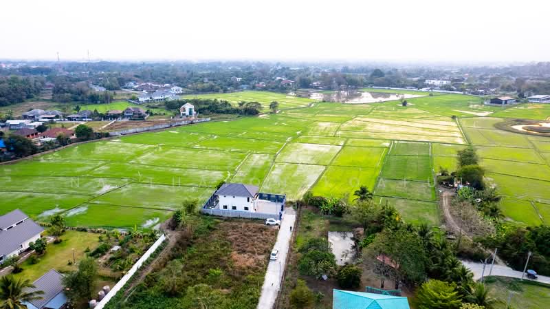 ขาย - บ้านเดี่ยว วิวทุ่งนา สันทรายหลวง สันทราย เชียงใหม่, เชียงใหม่