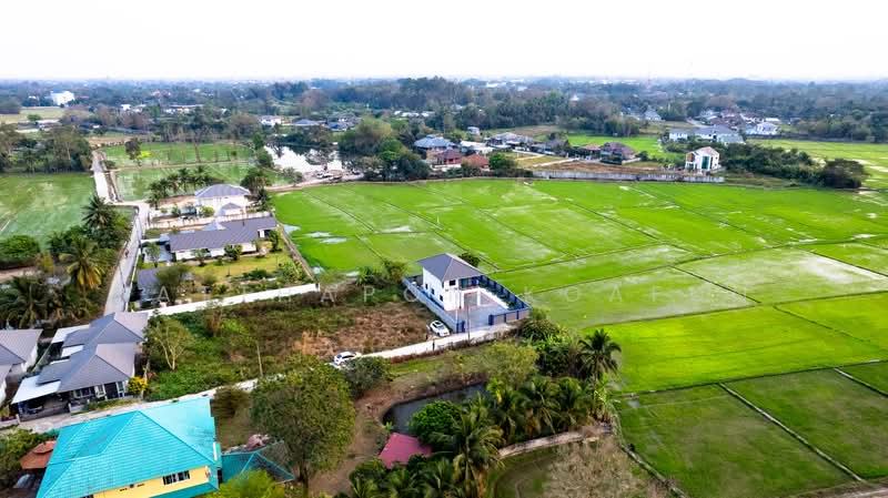 บ้านเดี่ยว วิวทุ่งนา สันทรายหลวง สันทราย เชียงใหม่, Chiang Mai, San Sai Luang, San Sai, Chiang Mai, 3 Bedrooms, 166 sqm, Single Detached House For Sale, by Natthapon Koafun, 500177349 - DDproperty.com