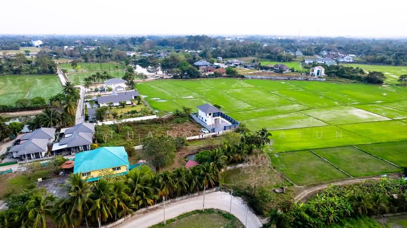 บ้านเดี่ยว วิวทุ่งนา สันทรายหลวง สันทราย เชียงใหม่, Chiang Mai, San Sai Luang, San Sai, Chiang Mai, 3 Bedrooms, 166 sqm, Single Detached House For Sale, by Natthapon Koafun, 500177349 - DDproperty.com