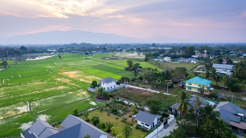 บ้านเดี่ยว วิวทุ่งนา สันทรายหลวง สันทราย เชียงใหม่, Chiang Mai, San Sai Luang, San Sai, Chiang Mai, 3 Bedrooms, 166 sqm, Single Detached House For Sale, by Natthapon Koafun, 500177349 - DDproperty.com