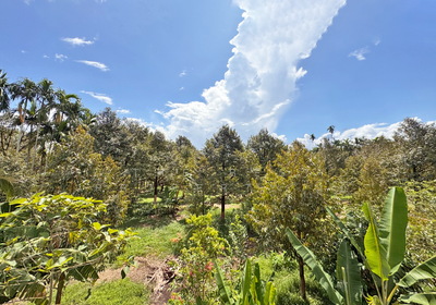 ขาย - ที่ดินมะขาม จันทบุรี, จันทบุรี