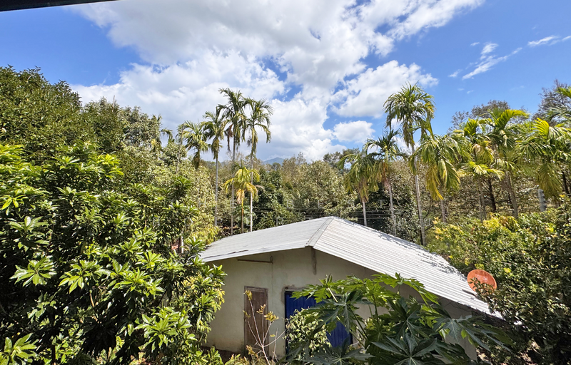 ที่ดินมะขาม จันทบุรี, Chanthaburi, Wang Saem, Makham, Chanthaburi, , 10,500 sqm, Land For Sale, by The Best Property นุ้ย, 500177385 - DDproperty.com