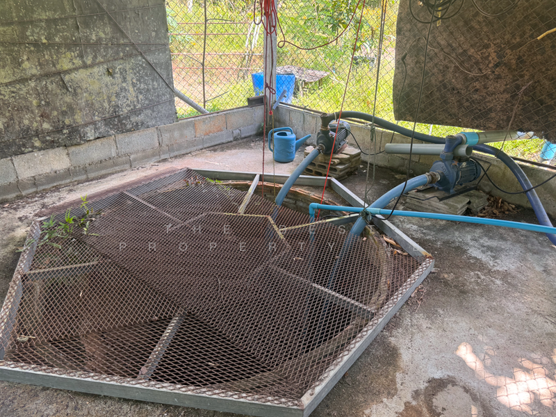 ที่ดินมะขาม จันทบุรี, Chanthaburi, Wang Saem, Makham, Chanthaburi, , 10,500 sqm, Land For Sale, by The Best Property นุ้ย, 500177385 - DDproperty.com