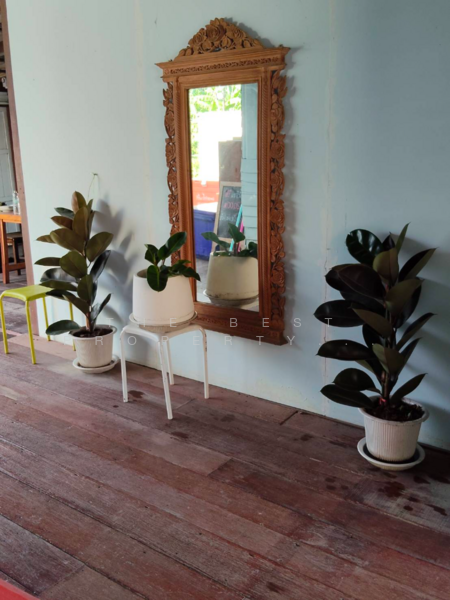 บ้านเดี่ยวบางกรวย นนทบุรี, นนทบุรี, บางขุนกอง, บางกรวย, นนทบุรี, 1,160 ตร.ม., บ้านเดี่ยว ขาย, โดย The Best Property โบว์, 500177426 - DDproperty.com