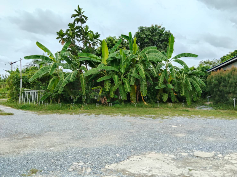 บ้านเดี่ยวบางกรวย นนทบุรี, Nonthaburi, Bang Khun Kong, Bang Kruai, Nonthaburi, 3 Bedrooms, 1,160 sqm, Single Detached House For Sale, by The Best Property โบว์, 500177426 - DDproperty.com