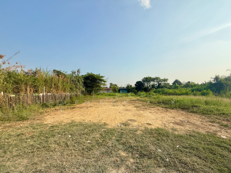 ขาย - ที่ดินสามพราน นครปฐม, นครปฐม