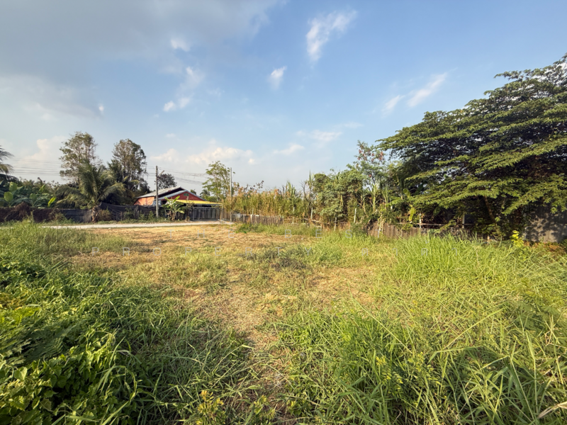 ขาย - ที่ดินสามพราน นครปฐม, นครปฐม