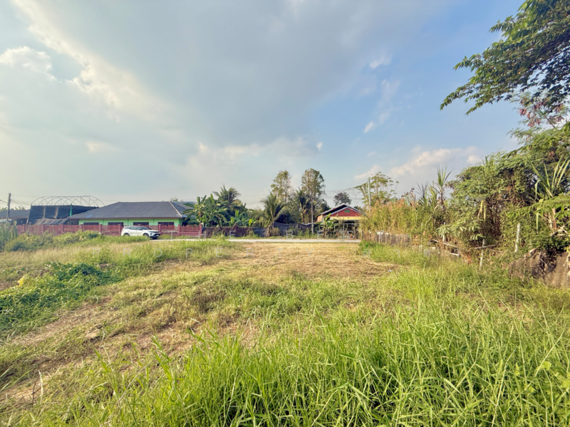 ขาย - ที่ดินสามพราน นครปฐม, นครปฐม