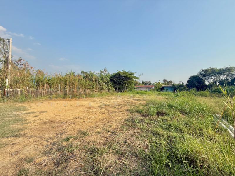 ขาย - ที่ดินสามพราน นครปฐม, นครปฐม