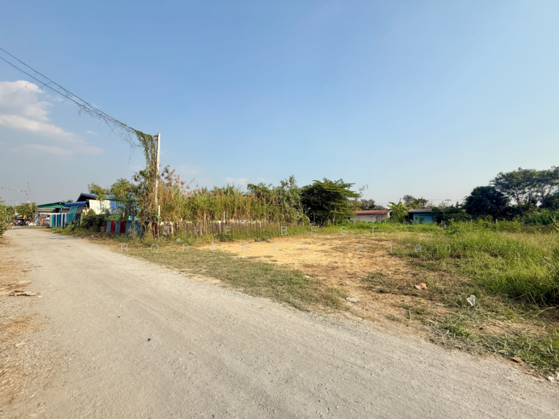 ขาย - ที่ดินสามพราน นครปฐม, นครปฐม