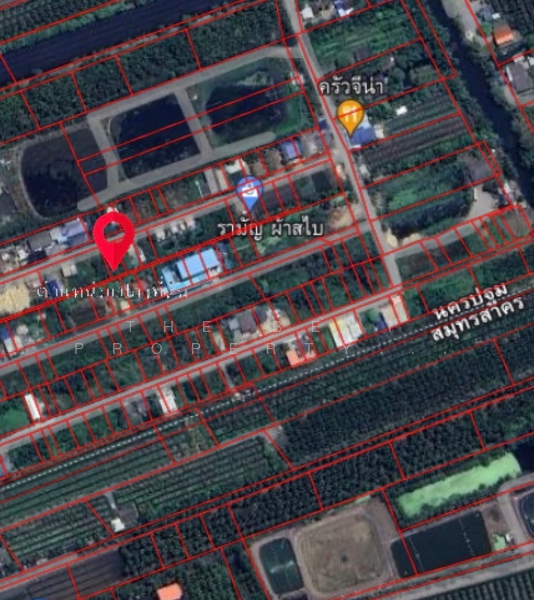 For Sale - ที่ดินสามพราน นครปฐม, Nakhon Pathom