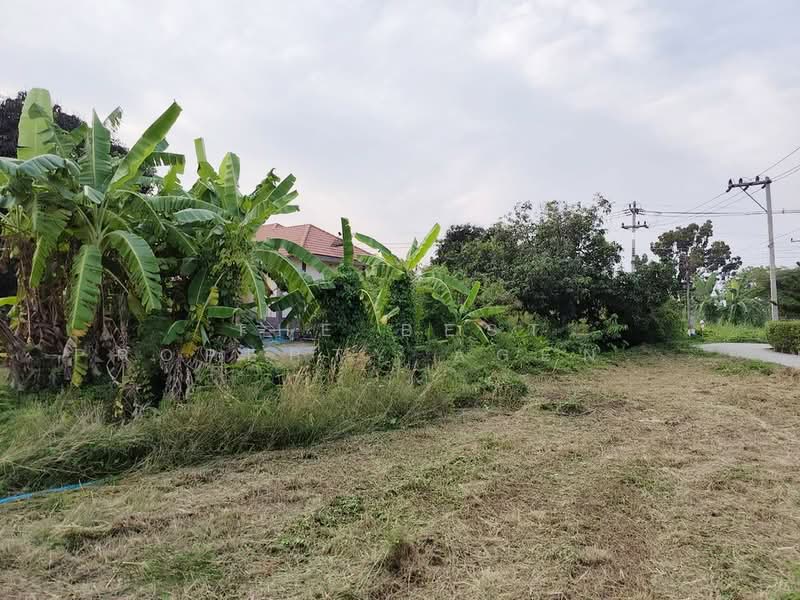 ที่ดินทัพหลวง นครปฐม, Nakhon Pathom, Thap Luang, Muang Nakhon Pathom, Nakhon Pathom, , 4,640 sqm, Land For Sale, by The Best Property Agent ป้อมแป๋ม, 500177467 - DDproperty.com