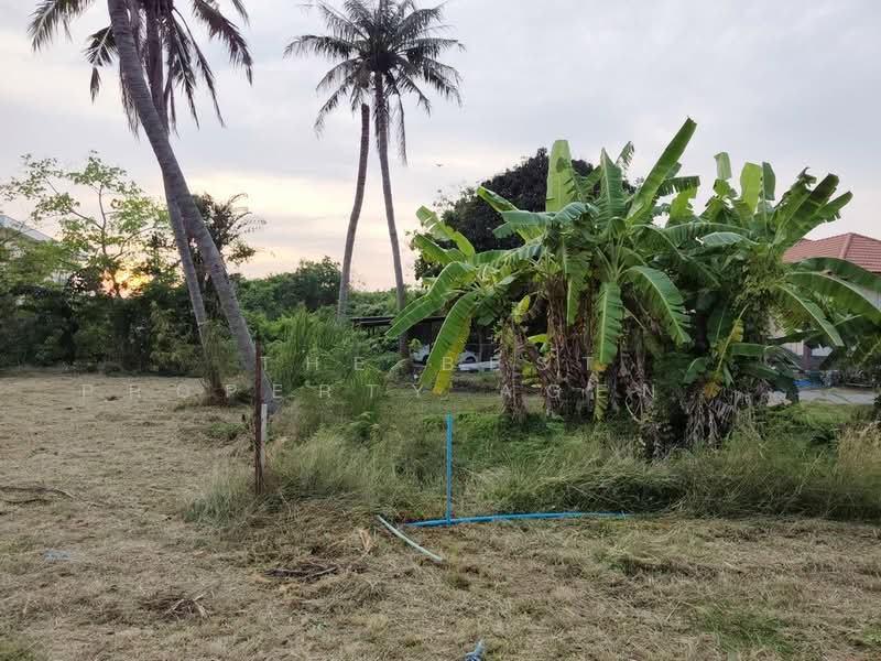 ที่ดินทัพหลวง นครปฐม, Nakhon Pathom, Thap Luang, Muang Nakhon Pathom, Nakhon Pathom, , 4,640 sqm, Land For Sale, by The Best Property Agent ป้อมแป๋ม, 500177467 - DDproperty.com