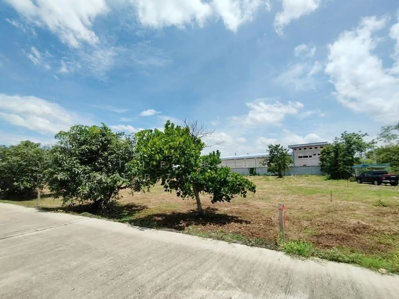 ที่ดินทัพหลวง นครปฐม, Nakhon Pathom, Thap Luang, Muang Nakhon Pathom, Nakhon Pathom, , 4,640 sqm, Land For Sale, by The Best Property Agent ป้อมแป๋ม, 500177467 - DDproperty.com