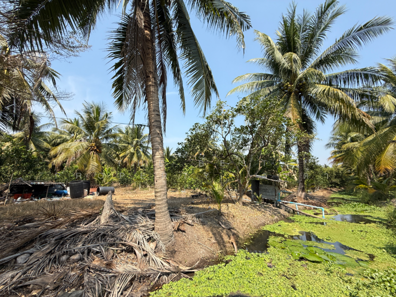 ที่ดินอัมพวา สมุทรสงคราม, Samut Songkhram, Wat Pradu, Amphawa, Samut Songkhram, , 6,004 sqm, Land For Sale, by The Best Property ดาด้า, 500177488 - DDproperty.com