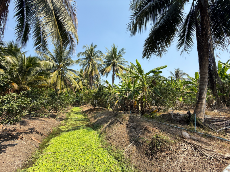 ที่ดินอัมพวา สมุทรสงคราม, Samut Songkhram, Wat Pradu, Amphawa, Samut Songkhram, , 6,004 sqm, Land For Sale, by The Best Property ดาด้า, 500177488 - DDproperty.com