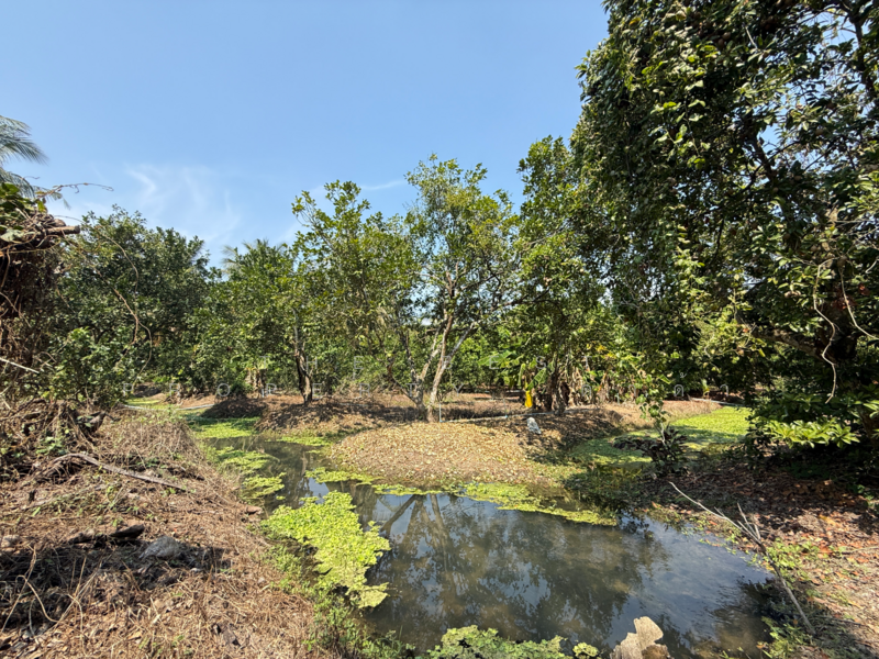 ที่ดินอัมพวา สมุทรสงคราม, Samut Songkhram, Wat Pradu, Amphawa, Samut Songkhram, , 6,004 sqm, Land For Sale, by The Best Property ดาด้า, 500177488 - DDproperty.com