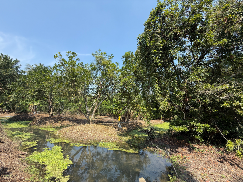 ที่ดินอัมพวา สมุทรสงคราม, Samut Songkhram, Wat Pradu, Amphawa, Samut Songkhram, , 6,004 sqm, Land For Sale, by The Best Property ดาด้า, 500177488 - DDproperty.com