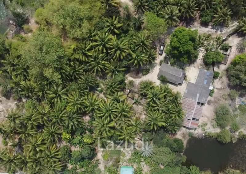 1,600.0 Sqm Land For Sale, Prachuap Khiri Khan, Thap Tai, Hua Hin, Prachuap Khiri Khan, , 1,600 sqm, Land For Sale, by Saifon Phuphanna, 500177531 - DDproperty.com