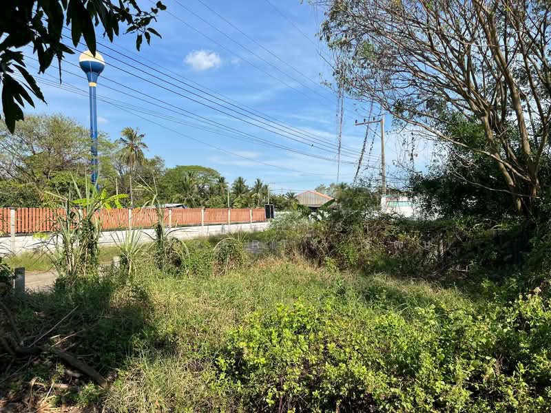 ที่ดินสามพราน นครปฐม, นครปฐม, หอมเกร็ด, สามพราน, นครปฐม, 400 ตร.ม., ที่ดิน ขาย, โดย The Best Property รัตน์, 500177546 - DDproperty.com