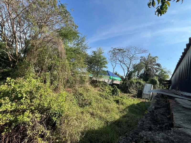 ที่ดินสามพราน นครปฐม, Nakhon Pathom, Hom Kret, Sam Phran, Nakhon Pathom, , 400 sqm, Land For Sale, by The Best Property รัตน์, 500177546 - DDproperty.com