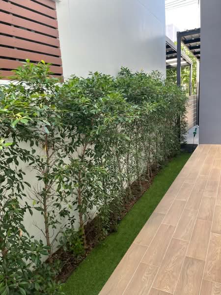 Term sub, Rayong, Thapma, Muang Rayong, Rayong, 3 Bedrooms, 150 sqm, Single Detached House For Sale, by The Best Property Agent ชมพู่, 500177562 - DDproperty.com