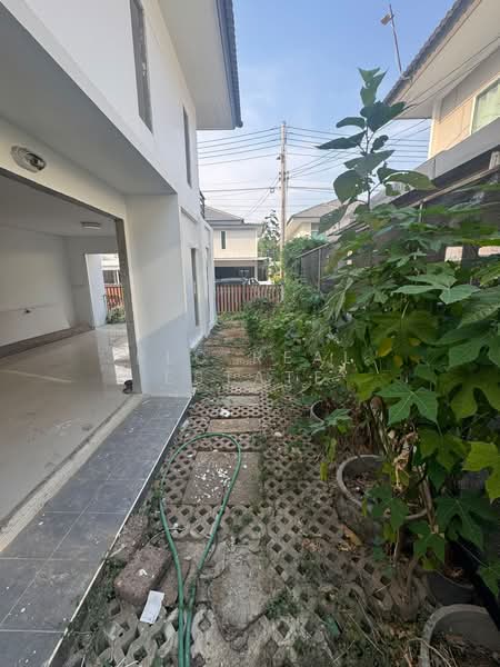 บ้านเดี่ยว 3 ห้องนอน 4 ห้องน้ำ สำหรับขาย ในชัยพฤกษ์ พัทยา, ชลบุรี, หนองปรือ, บางละมุง, ชลบุรี, 244 ตร.ม., บ้านเดี่ยว ขาย, โดย PLC Real Estate, 500177699 - DDproperty.com