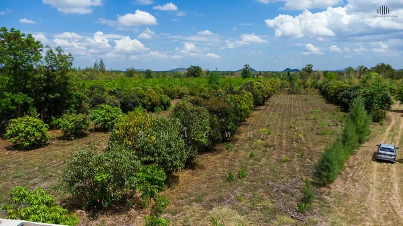 ขายด่วน! ที่ดินวิวเขาพาโนรามา จอมบึง ราชบุรี 9 ไร่เศษ ใกล้สวนผึ้ง ใกล้ชุมชน สาธารณูปโภคครบ โฉนดพร้อม, Ratchaburi, แพทย์ประเสริฐ การ์เด้นท, Rang Bua, Chom Bung, Ratchaburi, , 14,764 sqm, Land For Sale, by คุณโอห์ม, 500177707 - DDproperty.com