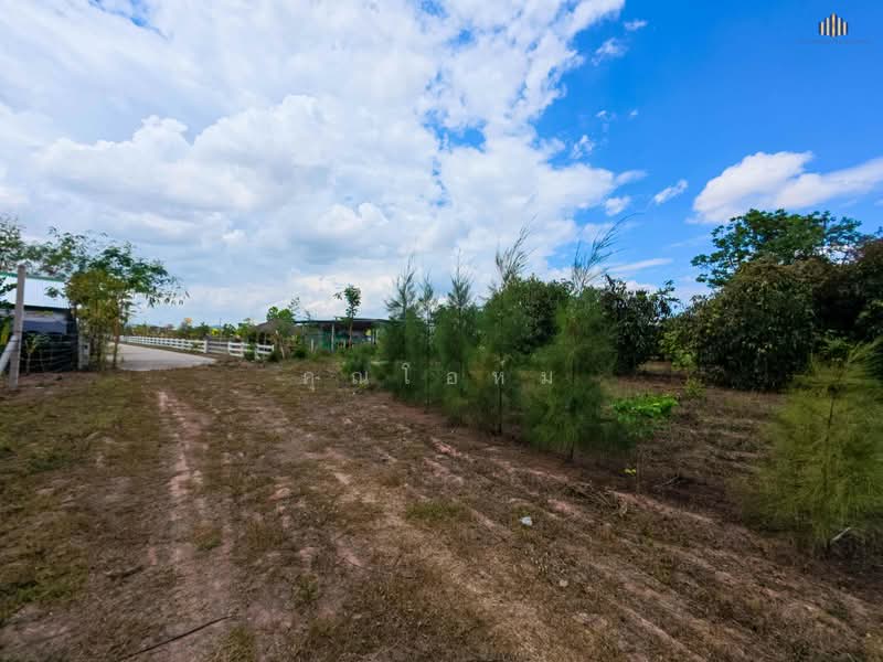 ขายด่วน! ที่ดินวิวเขาพาโนรามา จอมบึง ราชบุรี 9 ไร่เศษ ใกล้สวนผึ้ง ใกล้ชุมชน สาธารณูปโภคครบ โฉนดพร้อม, Ratchaburi, แพทย์ประเสริฐ การ์เด้นท, Rang Bua, Chom Bung, Ratchaburi, , 14,764 sqm, Land For Sale, by คุณโอห์ม, 500177707 - DDproperty.com