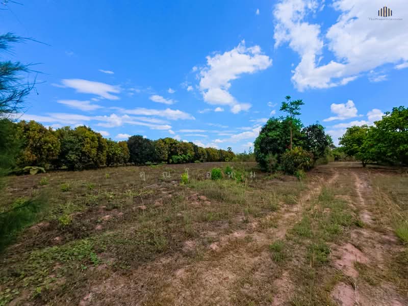 ขายด่วน! ที่ดินวิวเขาพาโนรามา จอมบึง ราชบุรี 9 ไร่เศษ ใกล้สวนผึ้ง ใกล้ชุมชน สาธารณูปโภคครบ โฉนดพร้อม, ราชบุรี, แพทย์ประเสริฐ การ์เด้นท, รางบัว, จอมบึง, ราชบุรี, 14,764 ตร.ม., ที่ดิน ขาย, โดย คุณโอห์ม, 500177707 - DDproperty.com