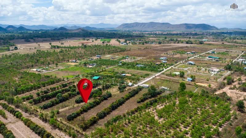 ขายด่วน! ที่ดินวิวเขาพาโนรามา จอมบึง ราชบุรี 9 ไร่เศษ ใกล้สวนผึ้ง ใกล้ชุมชน สาธารณูปโภคครบ โฉนดพร้อม, ราชบุรี, แพทย์ประเสริฐ การ์เด้นท, รางบัว, จอมบึง, ราชบุรี, 14,764 ตร.ม., ที่ดิน ขาย, โดย คุณโอห์ม, 500177707 - DDproperty.com