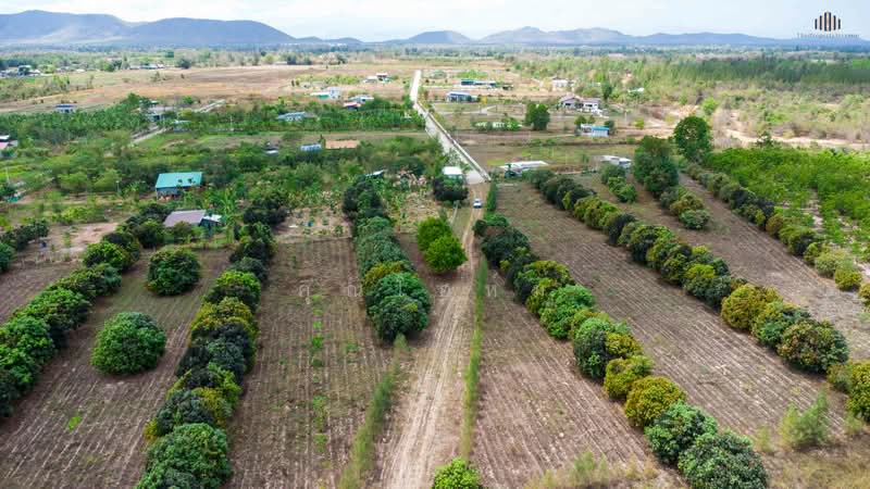 ขายด่วน! ที่ดินวิวเขาพาโนรามา จอมบึง ราชบุรี 9 ไร่เศษ ใกล้สวนผึ้ง ใกล้ชุมชน สาธารณูปโภคครบ โฉนดพร้อม, Ratchaburi, แพทย์ประเสริฐ การ์เด้นท, Rang Bua, Chom Bung, Ratchaburi, , 14,764 sqm, Land For Sale, by คุณโอห์ม, 500177707 - DDproperty.com