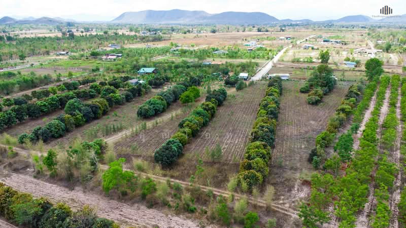 ขายด่วน! ที่ดินวิวเขาพาโนรามา จอมบึง ราชบุรี 9 ไร่เศษ ใกล้สวนผึ้ง ใกล้ชุมชน สาธารณูปโภคครบ โฉนดพร้อม, Ratchaburi, แพทย์ประเสริฐ การ์เด้นท, Rang Bua, Chom Bung, Ratchaburi, , 14,764 sqm, Land For Sale, by คุณโอห์ม, 500177707 - DDproperty.com