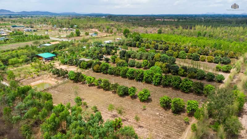 ขายด่วน! ที่ดินวิวเขาพาโนรามา จอมบึง ราชบุรี 9 ไร่เศษ ใกล้สวนผึ้ง ใกล้ชุมชน สาธารณูปโภคครบ โฉนดพร้อม, Ratchaburi, แพทย์ประเสริฐ การ์เด้นท, Rang Bua, Chom Bung, Ratchaburi, , 14,764 sqm, Land For Sale, by คุณโอห์ม, 500177707 - DDproperty.com