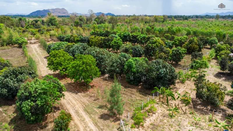 ขายด่วน! ที่ดินวิวเขาพาโนรามา จอมบึง ราชบุรี 9 ไร่เศษ ใกล้สวนผึ้ง ใกล้ชุมชน สาธารณูปโภคครบ โฉนดพร้อม, Ratchaburi, แพทย์ประเสริฐ การ์เด้นท, Rang Bua, Chom Bung, Ratchaburi, , 14,764 sqm, Land For Sale, by คุณโอห์ม, 500177707 - DDproperty.com