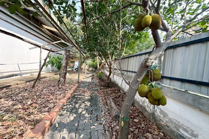 หมู่บ้านสราสินี เพลส, กรุงเทพ, คลองถนน, สายไหม, กรุงเทพ, 436 ตร.ม., ที่ดิน ขาย, โดย คุณนา, 500177770 - DDproperty.com