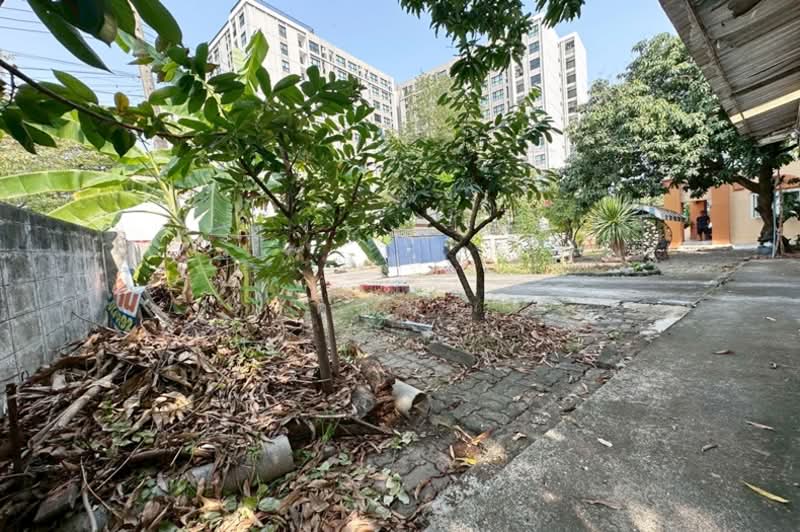 หมู่บ้านสราสินี เพลส, กรุงเทพ, คลองถนน, สายไหม, กรุงเทพ, 436 ตร.ม., ที่ดิน ขาย, โดย คุณนา, 500177770 - DDproperty.com