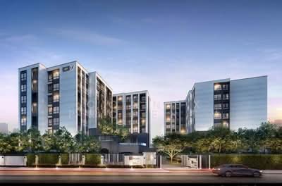 ขาย - Niche Mono Itsaraphap : นิช โมโน อิสรภาพ, กรุงเทพ