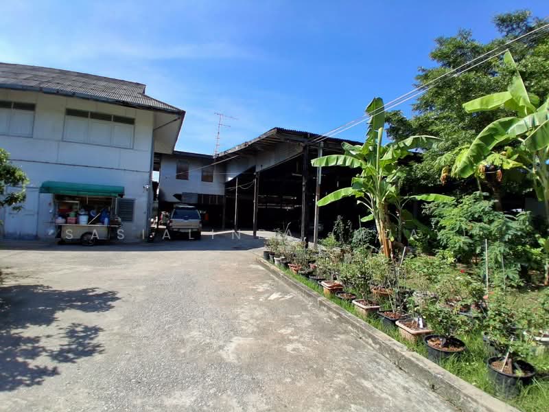 For Sale - House for Sale Sai Luat Paknam 574 sqw. sale 150,000 baht / sqw, Samut Prakan