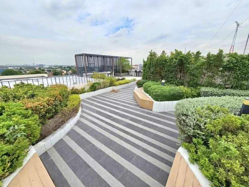 Kensington Phaholyothin 63, Bangkok, Soi Phaholyothin 63, Phaholyothin Road, Anusaowari, Bang Khen, Bangkok, 1 Bedroom, 30 sqm, Condo For Rent, by สรภพ ยอดไชย (สีฝุ่น), 500178029 - DDproperty.com