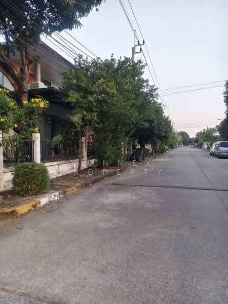 บ้านกล้วยไม้ บางบอน : Baan Kluai Mai Bang Bon, กรุงเทพ, หมู่บ้านกล้วยหอม ซอยบ้านกล้วยไม้, บางบอน, บางบอน, กรุงเทพ, 21 ตร.ม., บ้านเดี่ยว ขาย, โดย Connex Property, 500178054 - DDproperty.com