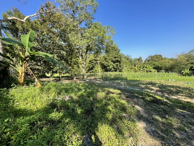 ไม่พบโครงการ, Chiang Mai, -, Mae Ram, Mae Rim, Chiang Mai, , 12,760 sqm, Land For Sale, by Panuwat Jinanan, 500178180 - DDproperty.com
